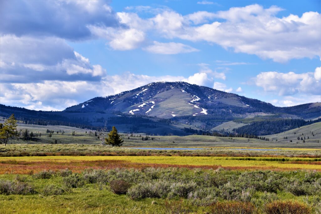 Montana Land