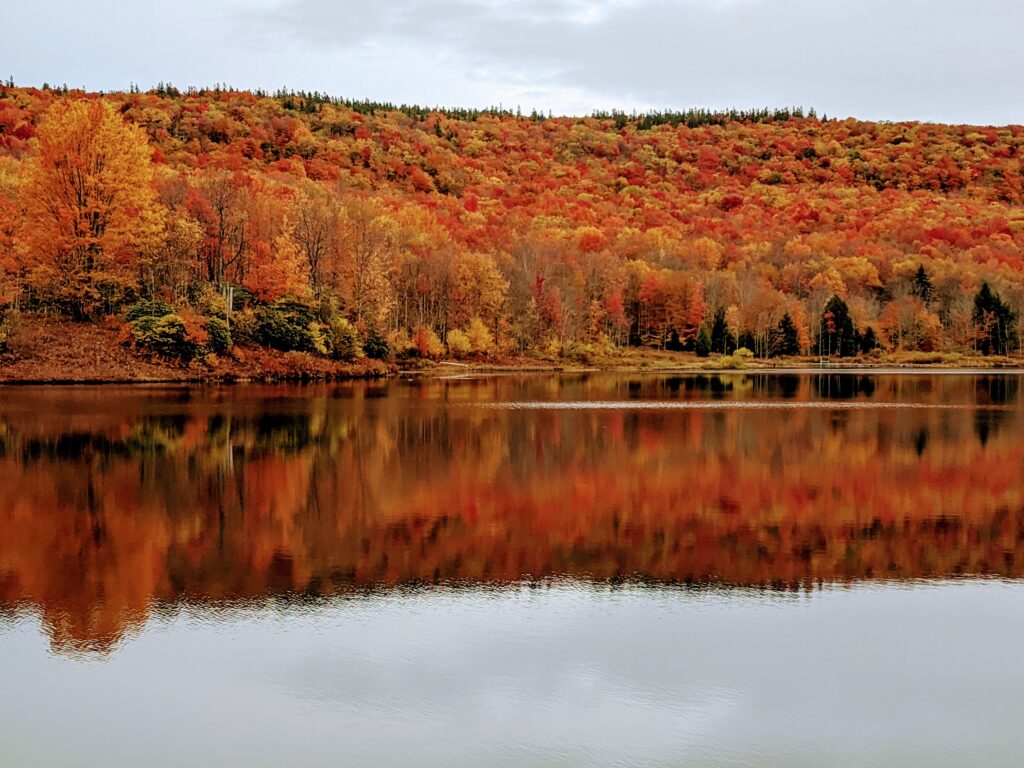 Davis, WV West Virginia Lake Fall Colors