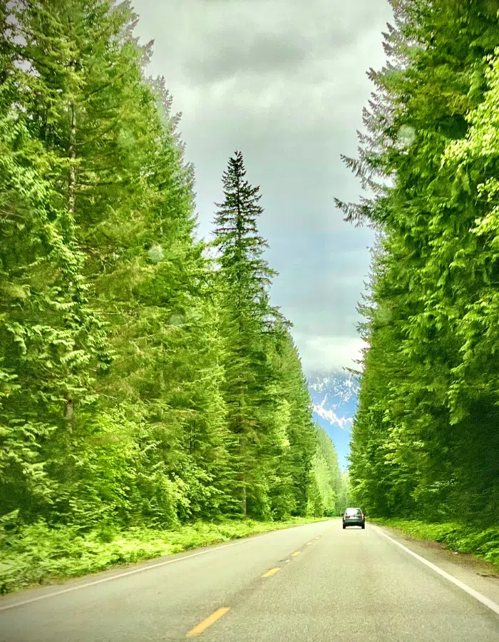 Washington State Roads, Forrest, Land WA