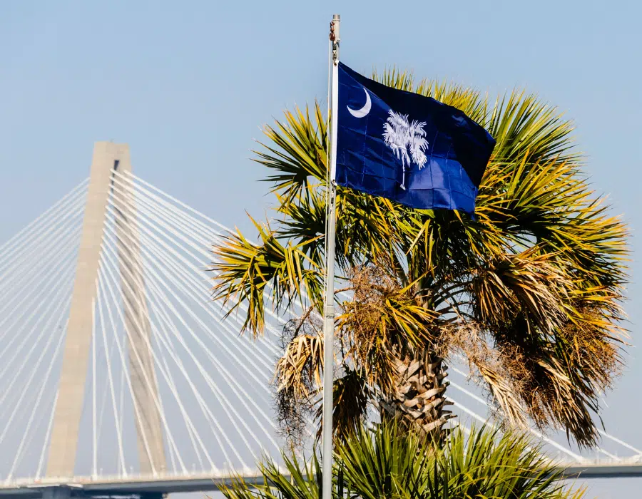 South Carolina Flag, SC Arthur Ravenel Jr. Bridge, Palm Tree