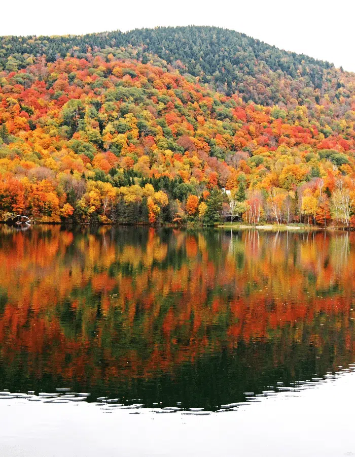Vermont Land